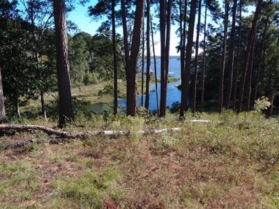 Lot 9 Cypress Cove