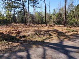 LOT 497 WINDING WAY BLVD