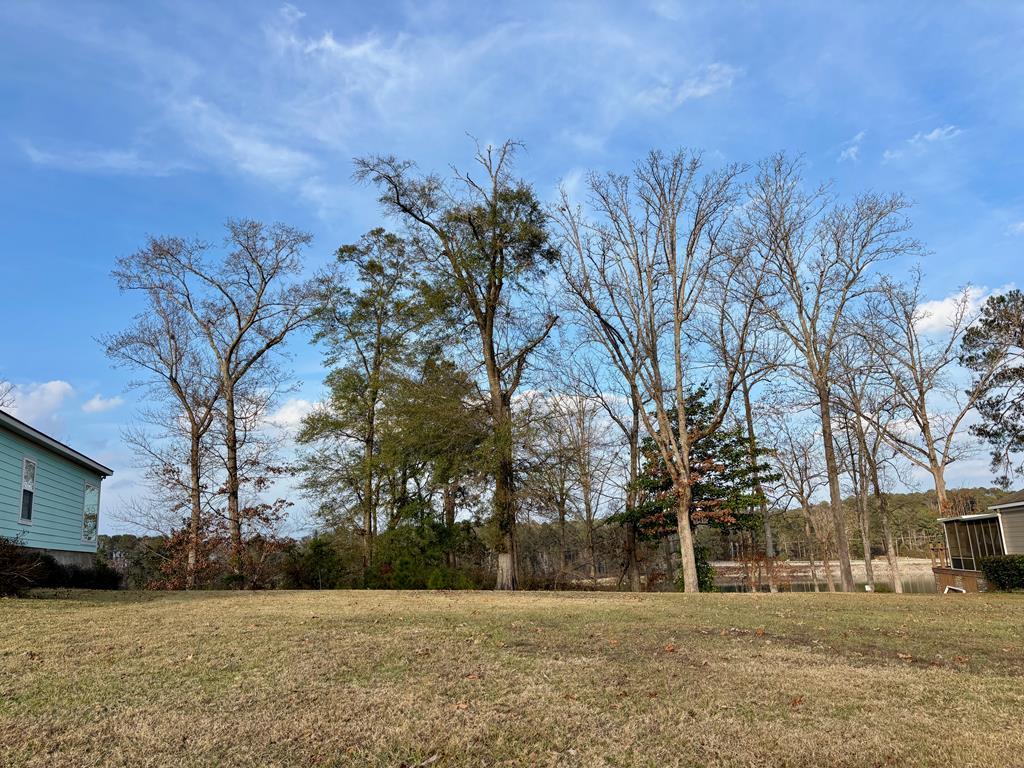 Image 2: property