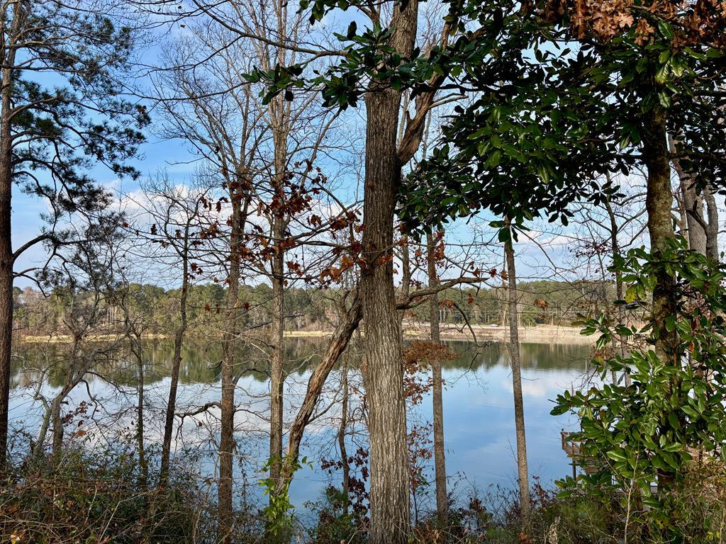 Image 3: Lakeview