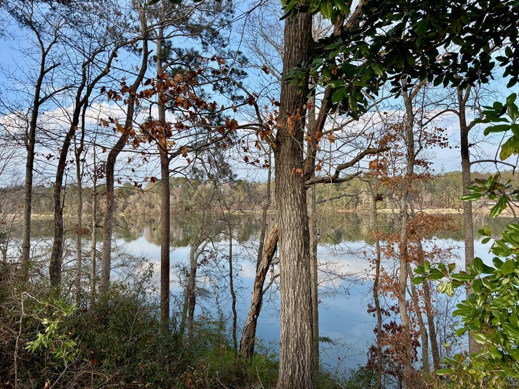 Image 4: Lakeview