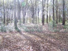 Lot 10 Shadow Moss Drive