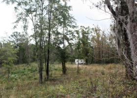 1661 County Road 97