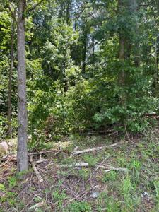 Lot 11 Sunrise Drive