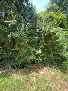 Lot 17 Clark Hill Drive
