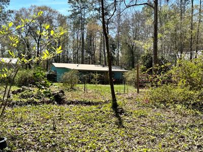 105 Big Beaver Lane