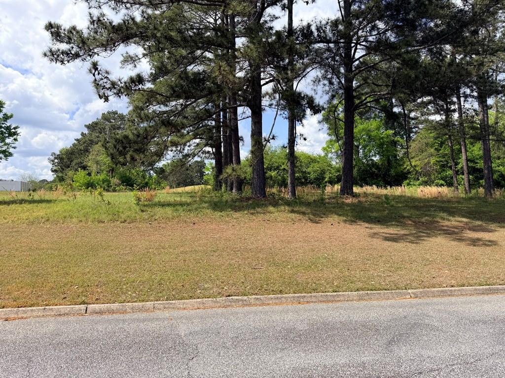 Image 2: Road View of Lot
