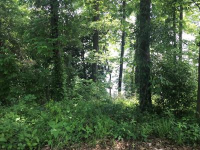 Lot 26 Inlet Road