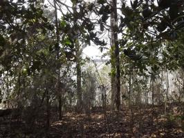 Lot 12 Rosalyn Road
