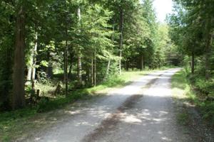E Pearson RD