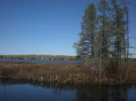 000 Long Point RD