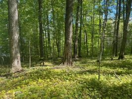 Lot 1 Needle Pointe RD