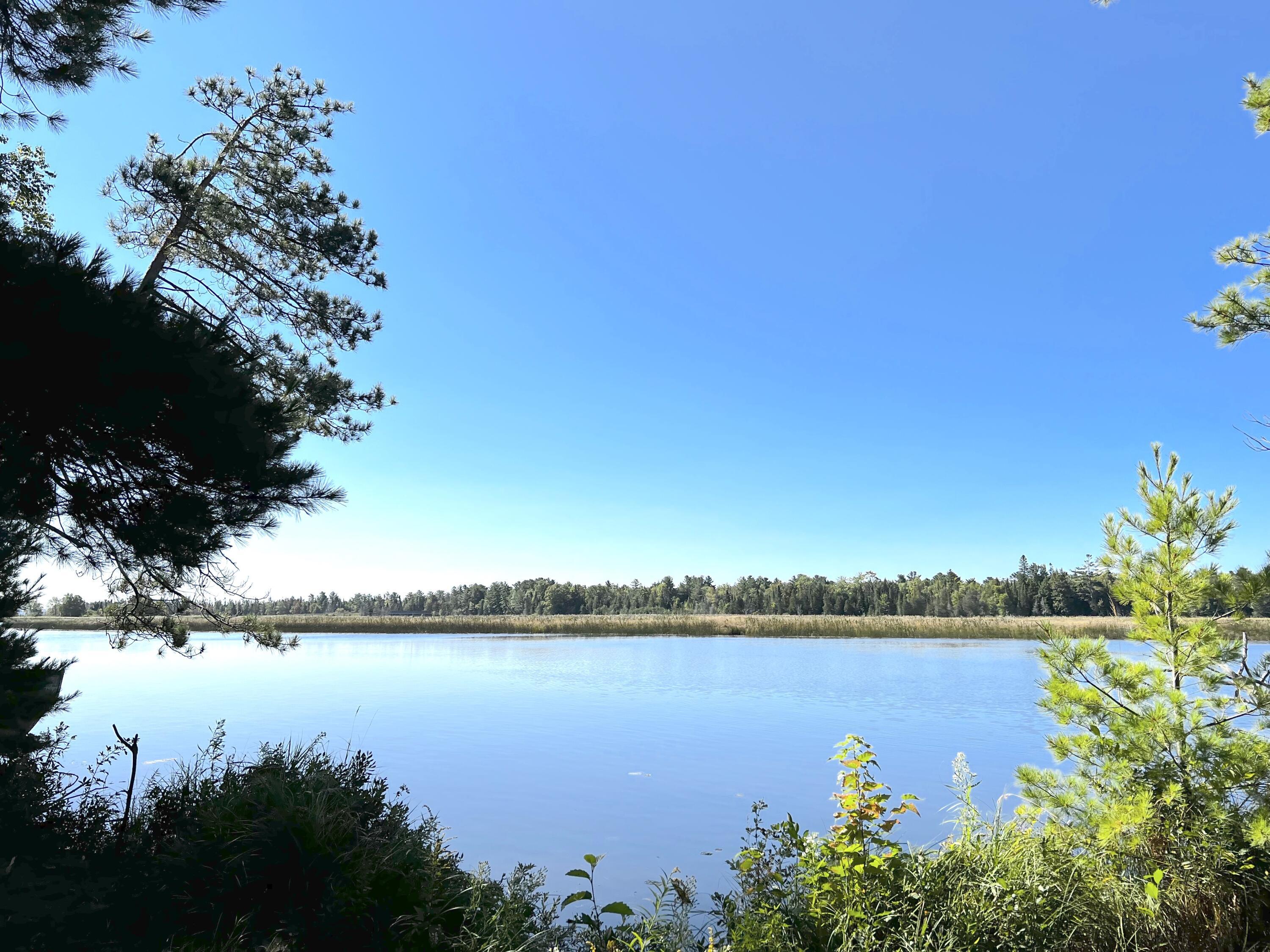 Image 1: 4.962 Acres @ Tahquamenon Rivermouth