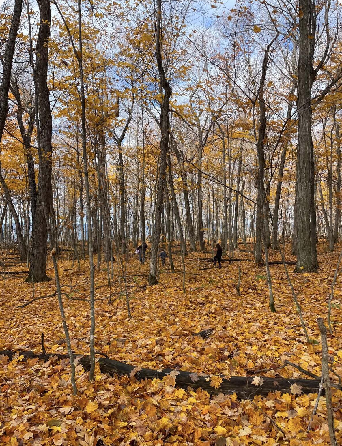 Image 1: bluff overlooking Superior