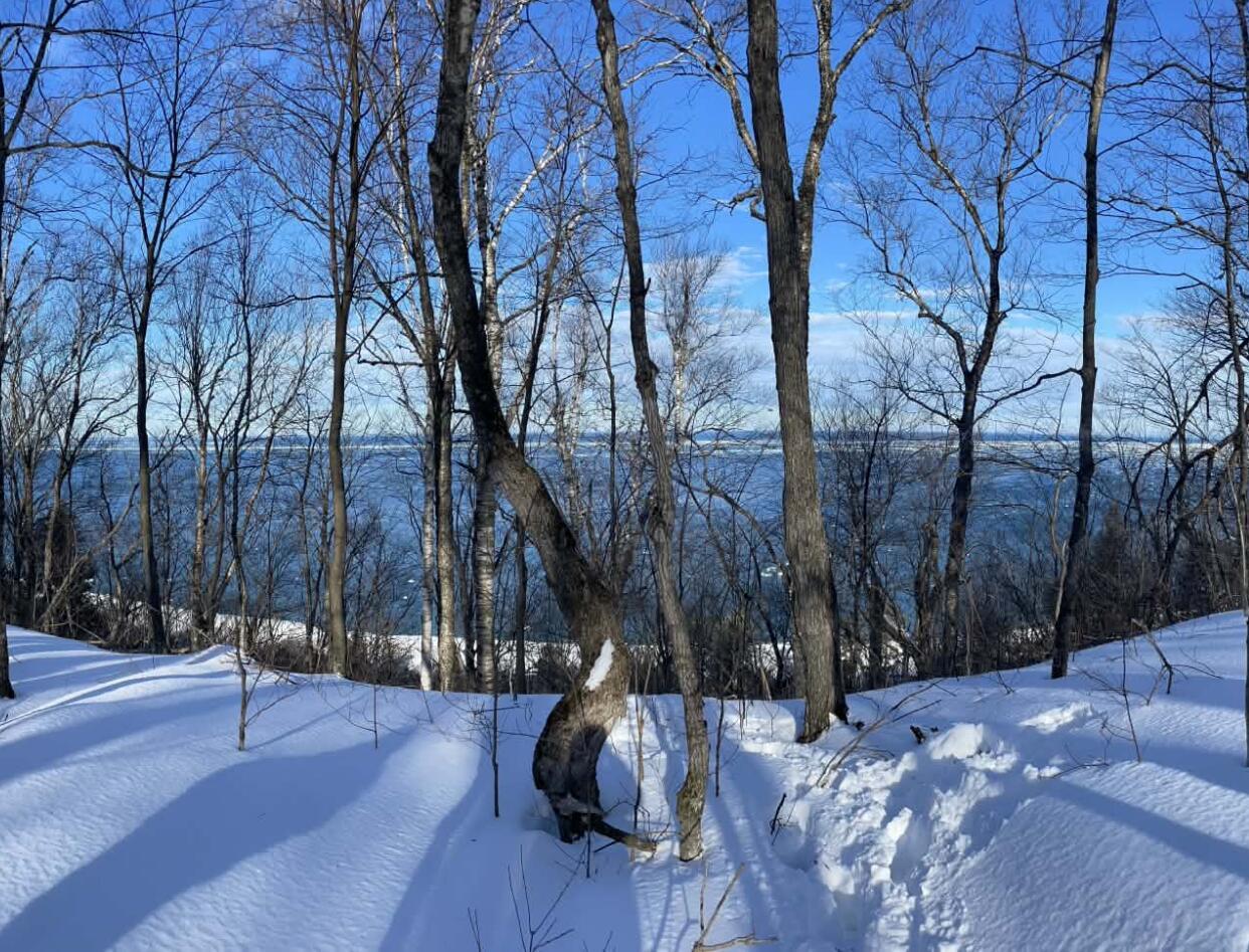 Image 4: winter view