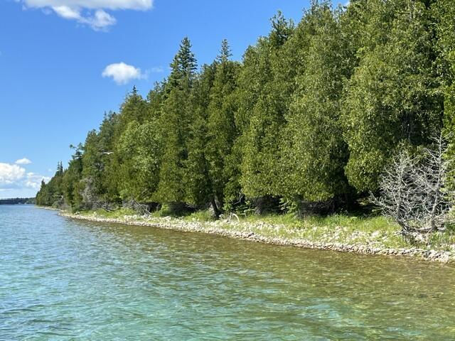 Image 3: Conservancy Land to the west