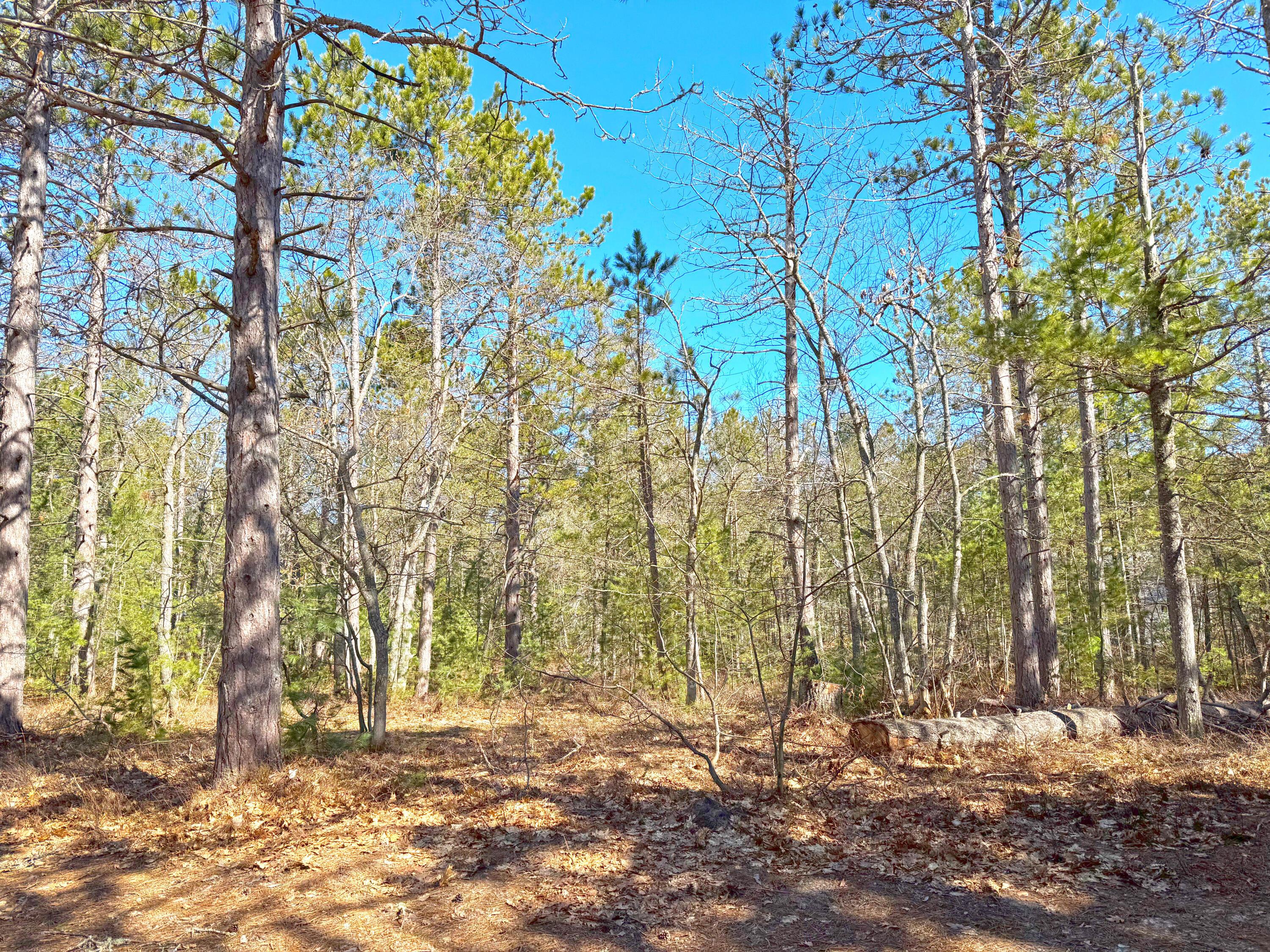 Image 2: 32056 W Pal RD, Paradise, MI 49768