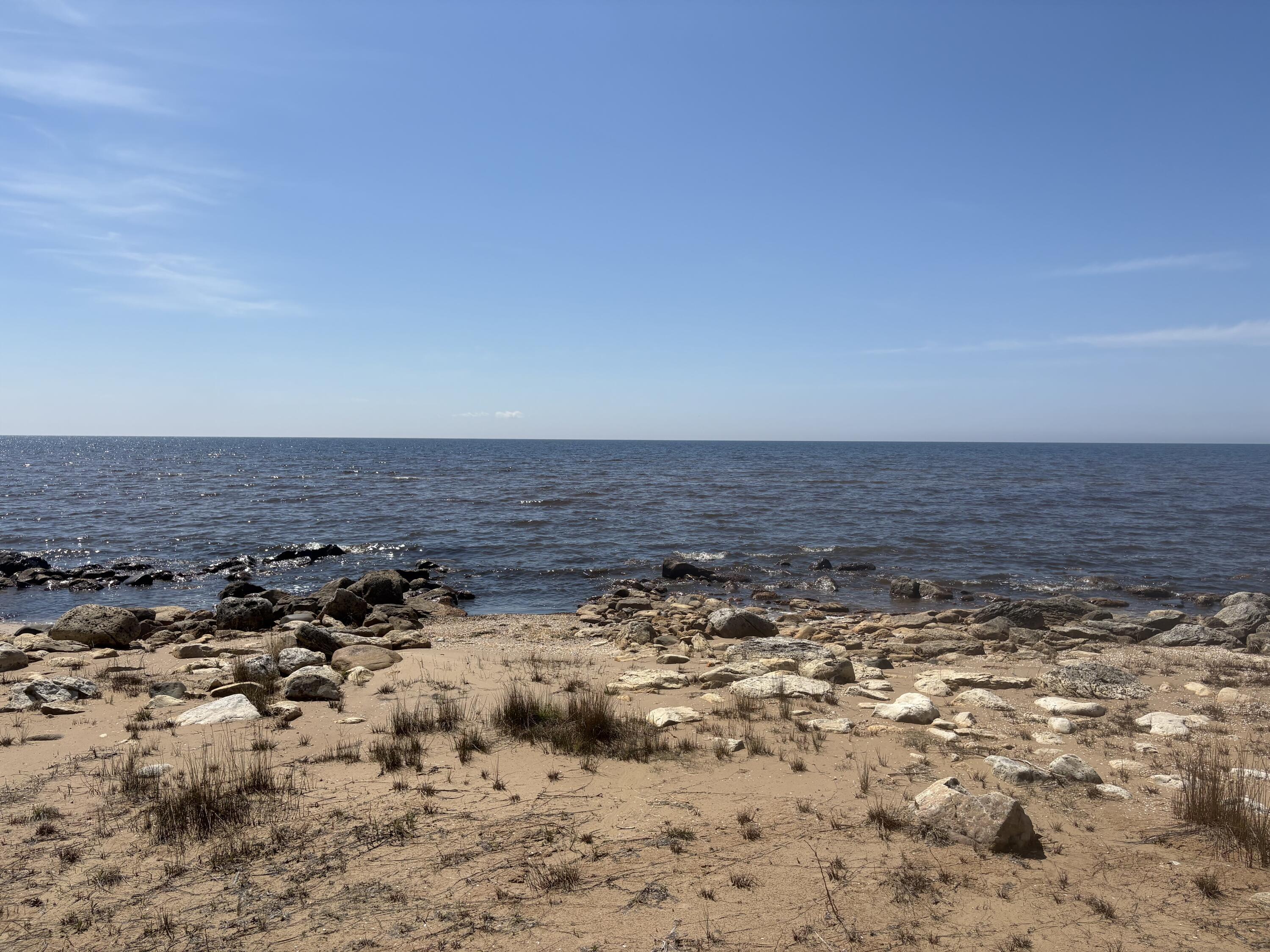 Image 4: IMG_4924