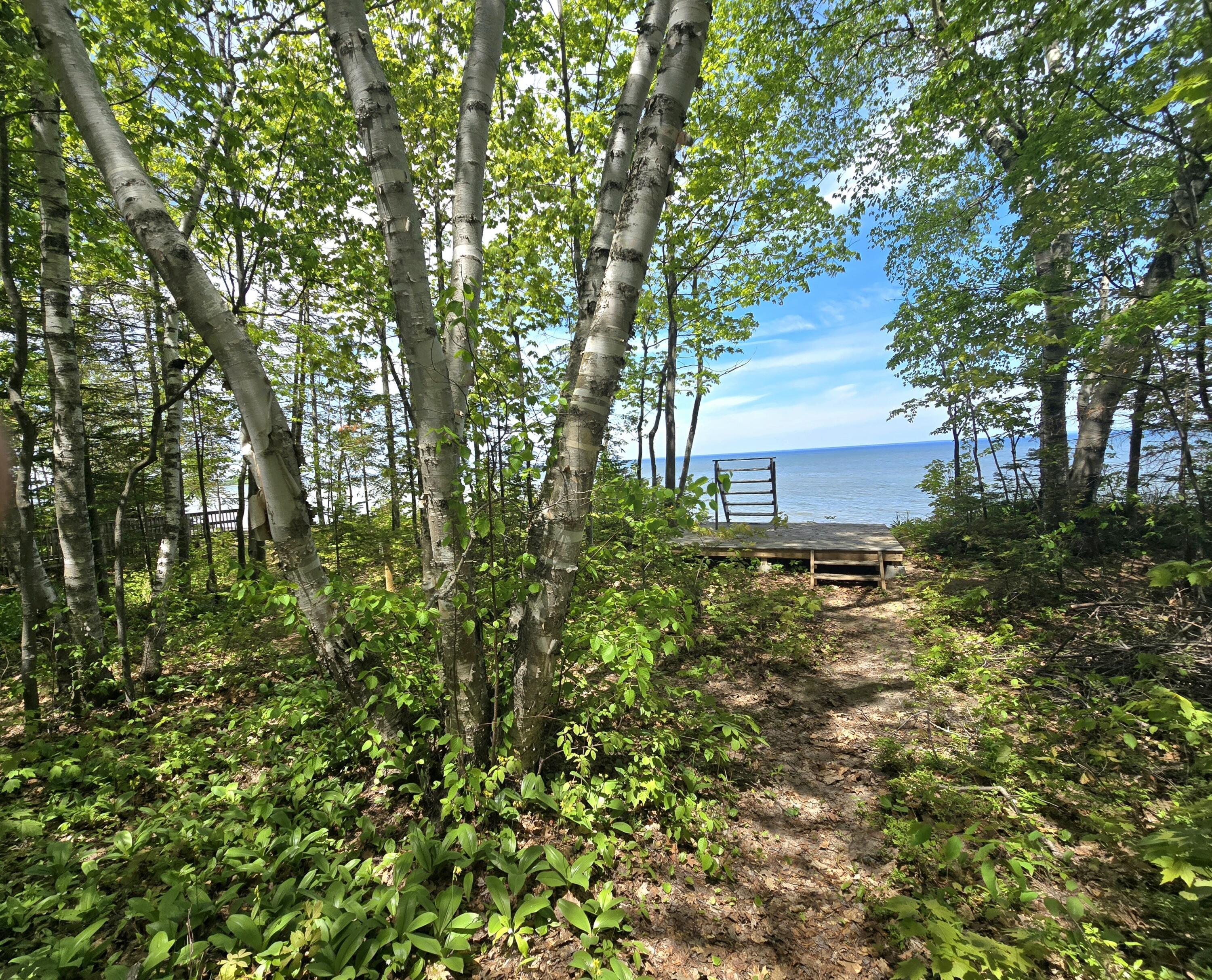 Image 2: WALKWAY TO WATER