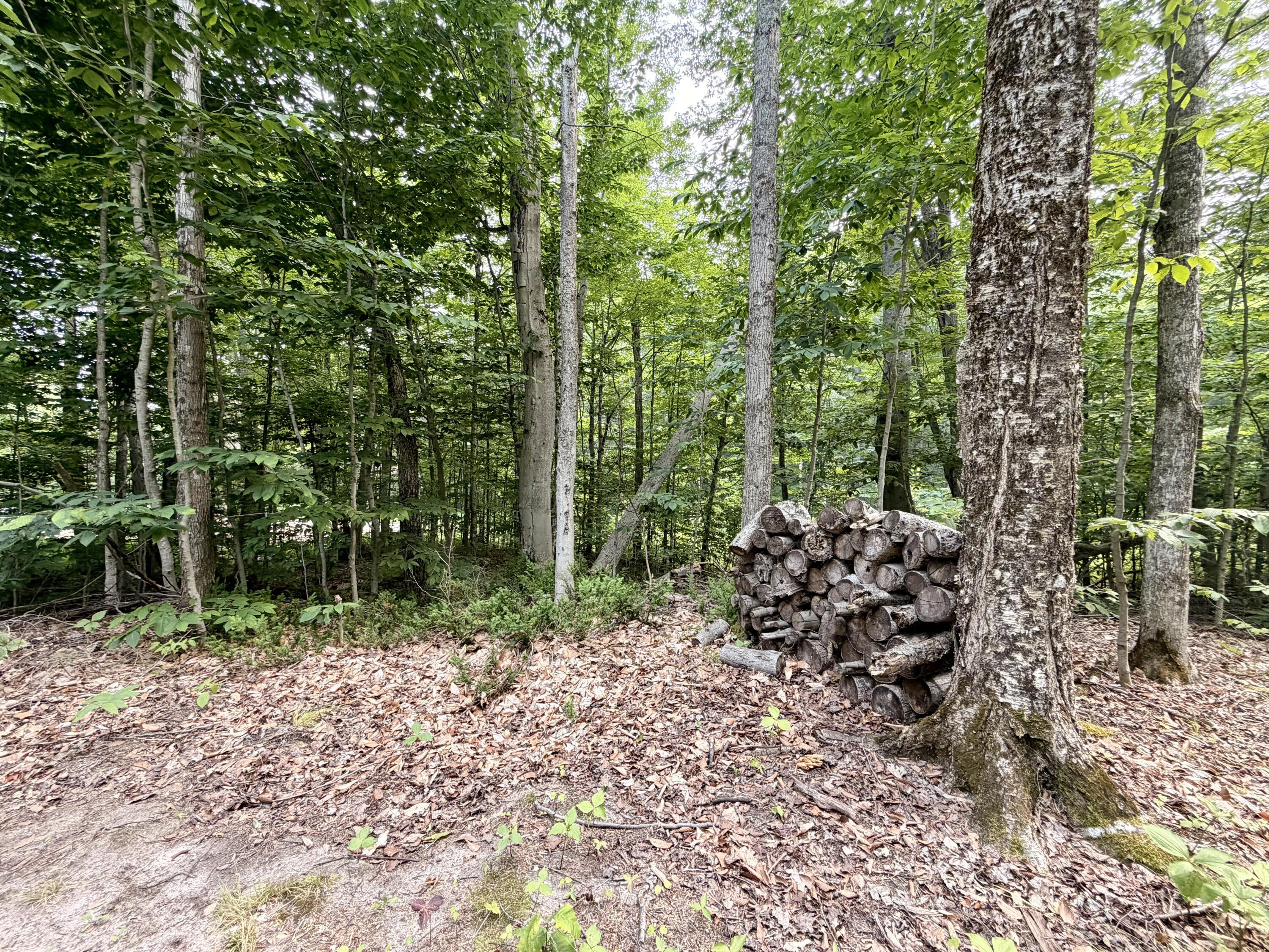 Image 3: IMG_7474
