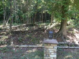 25 Pine Cove LN
