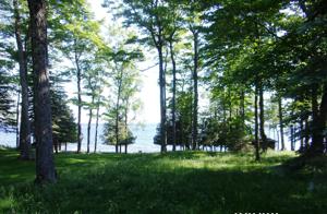 17799 Long Point RD