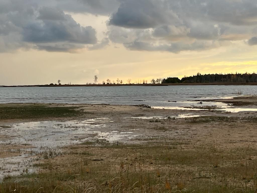 Image 1: IMG_1112001