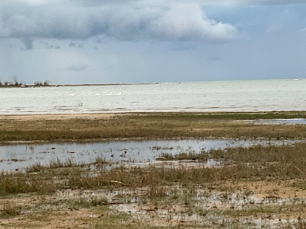 Image 2: IMG_1111001