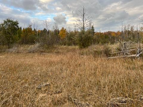 Image 3: IMG_1110001