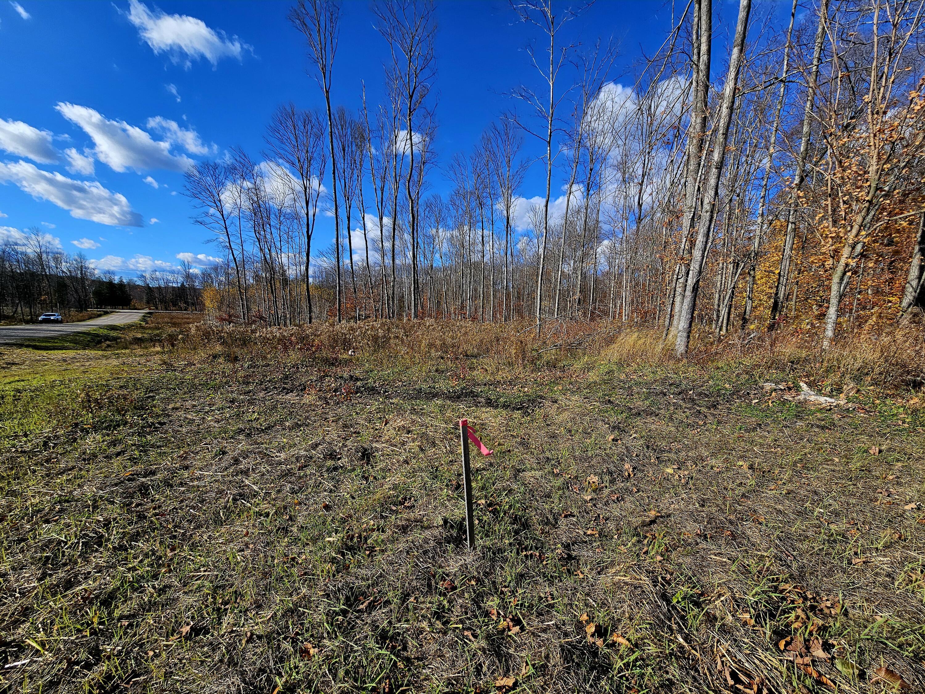 Image 3: 20251103_134512