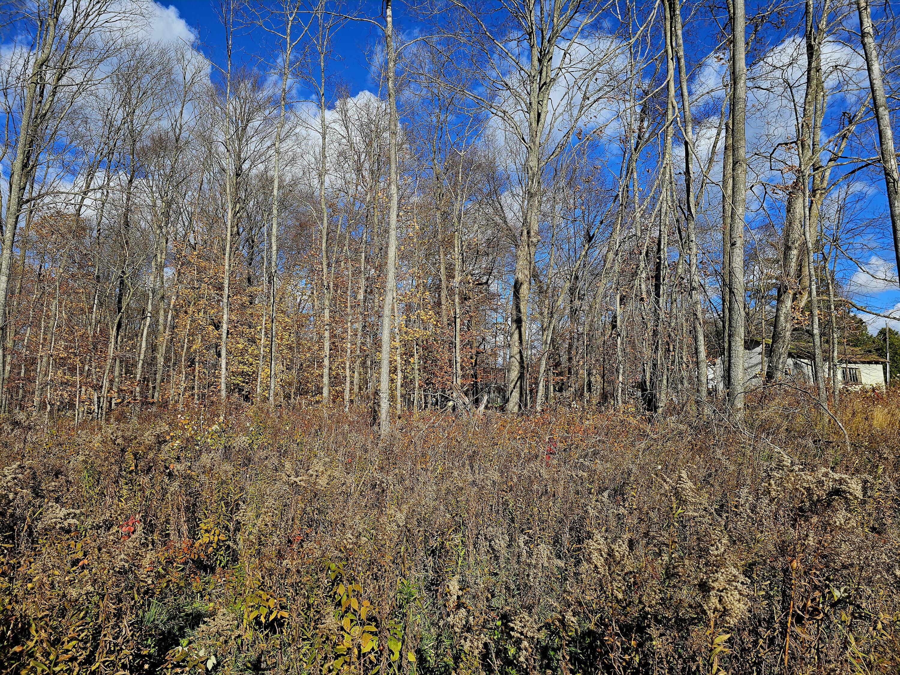 Image 4: 20251103_134448