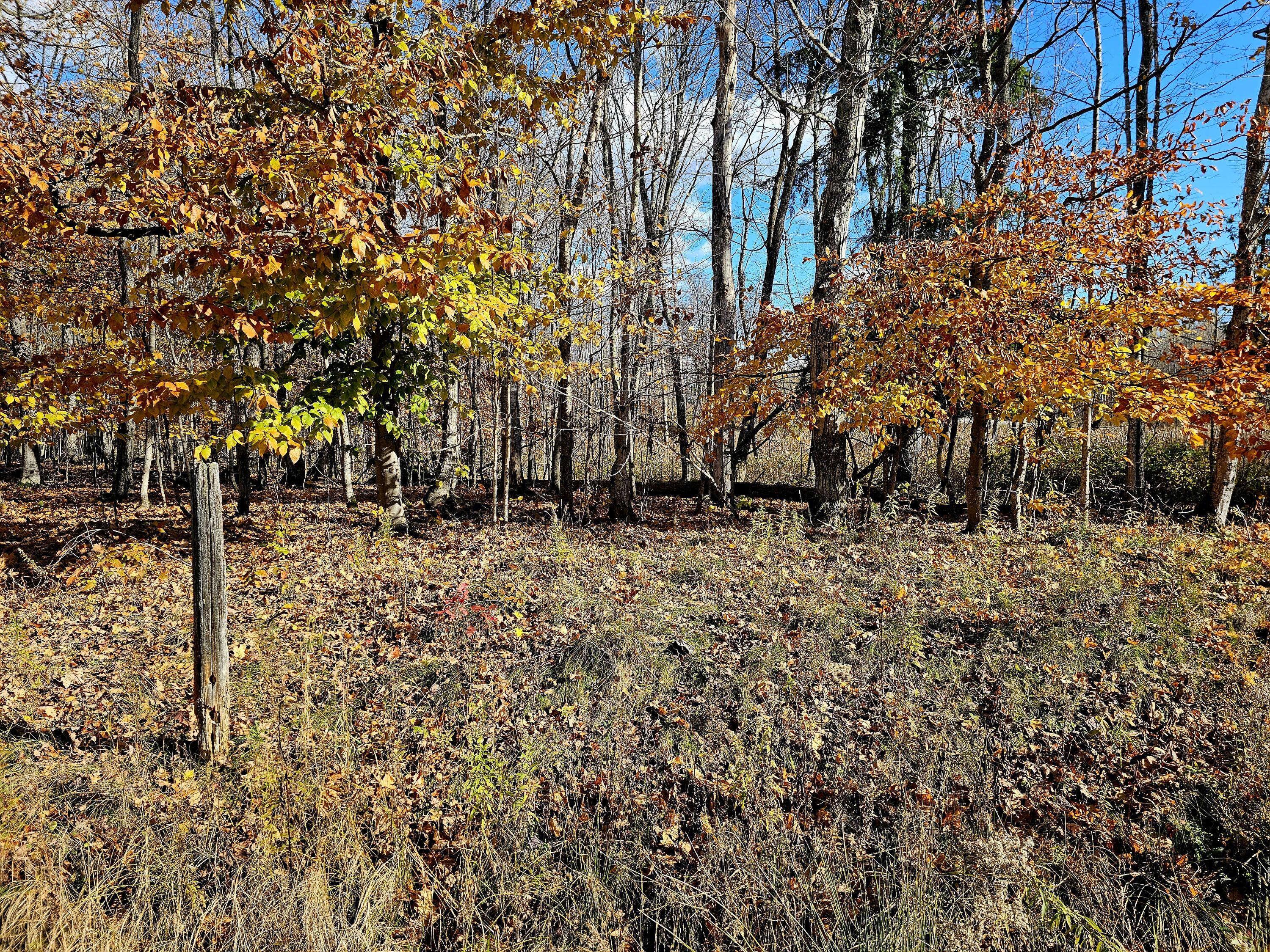 Image 2: 20251103_134800