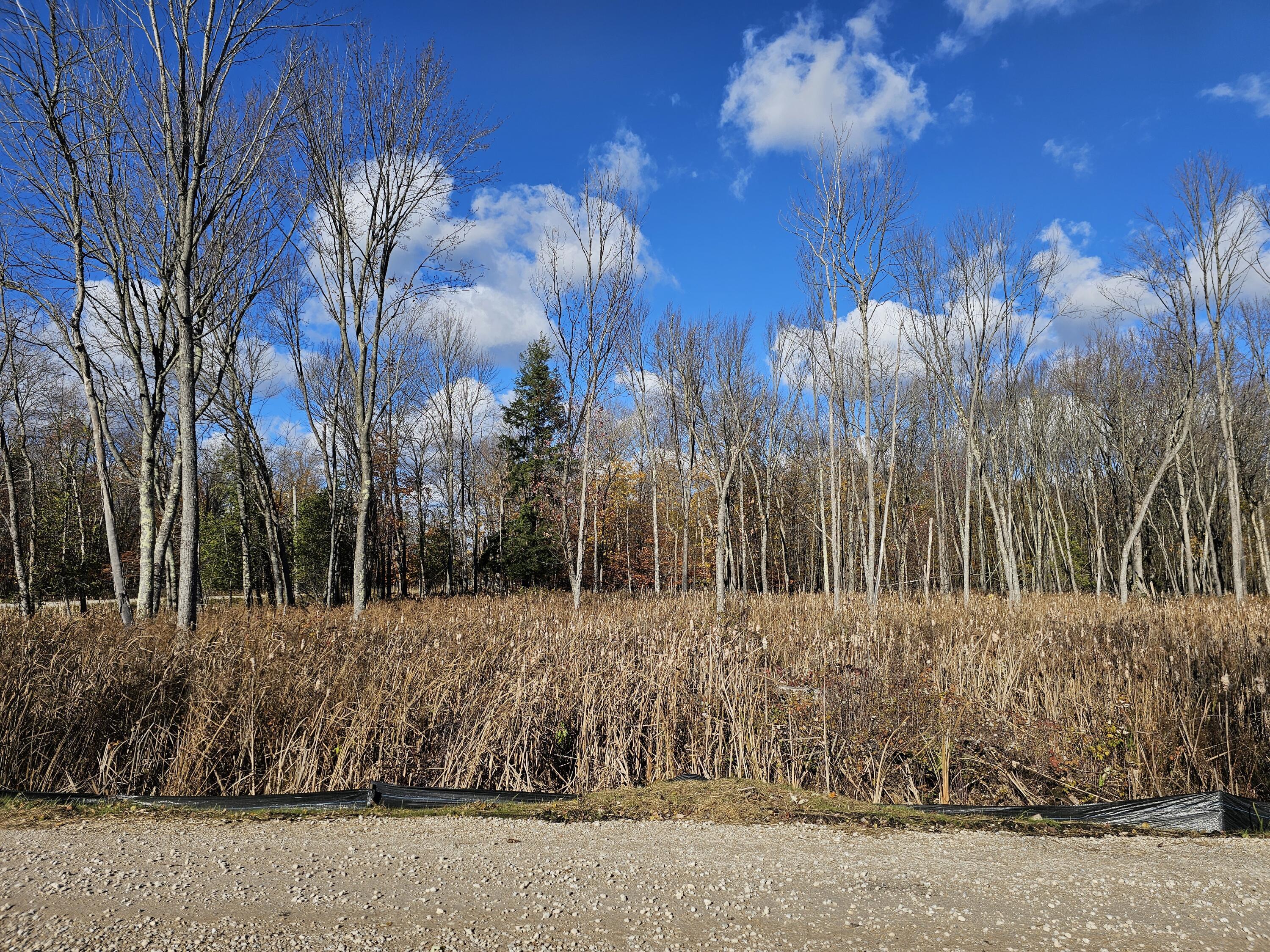 Image 3: 20251103_133407