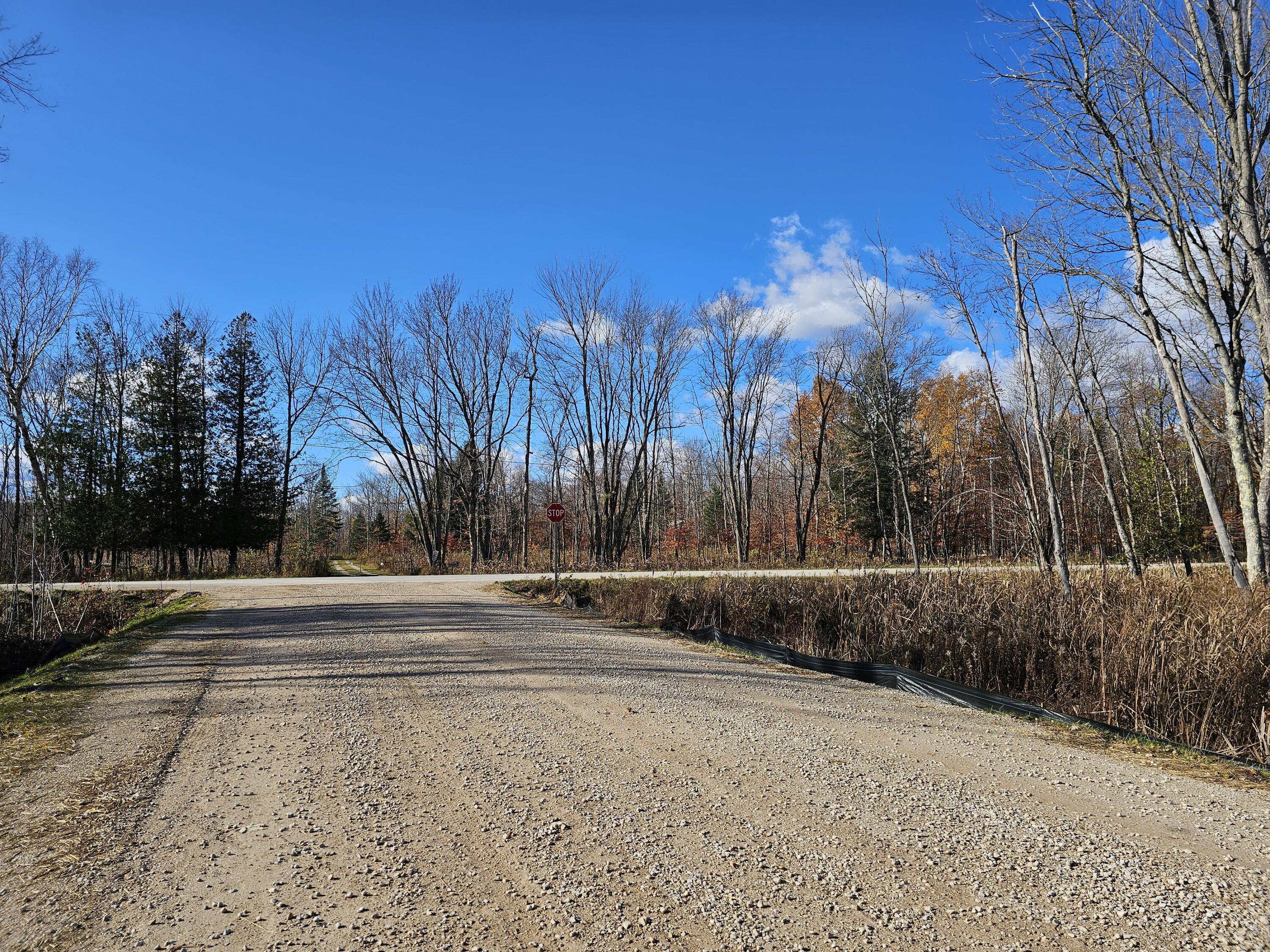 Image 4: 20251103_133410