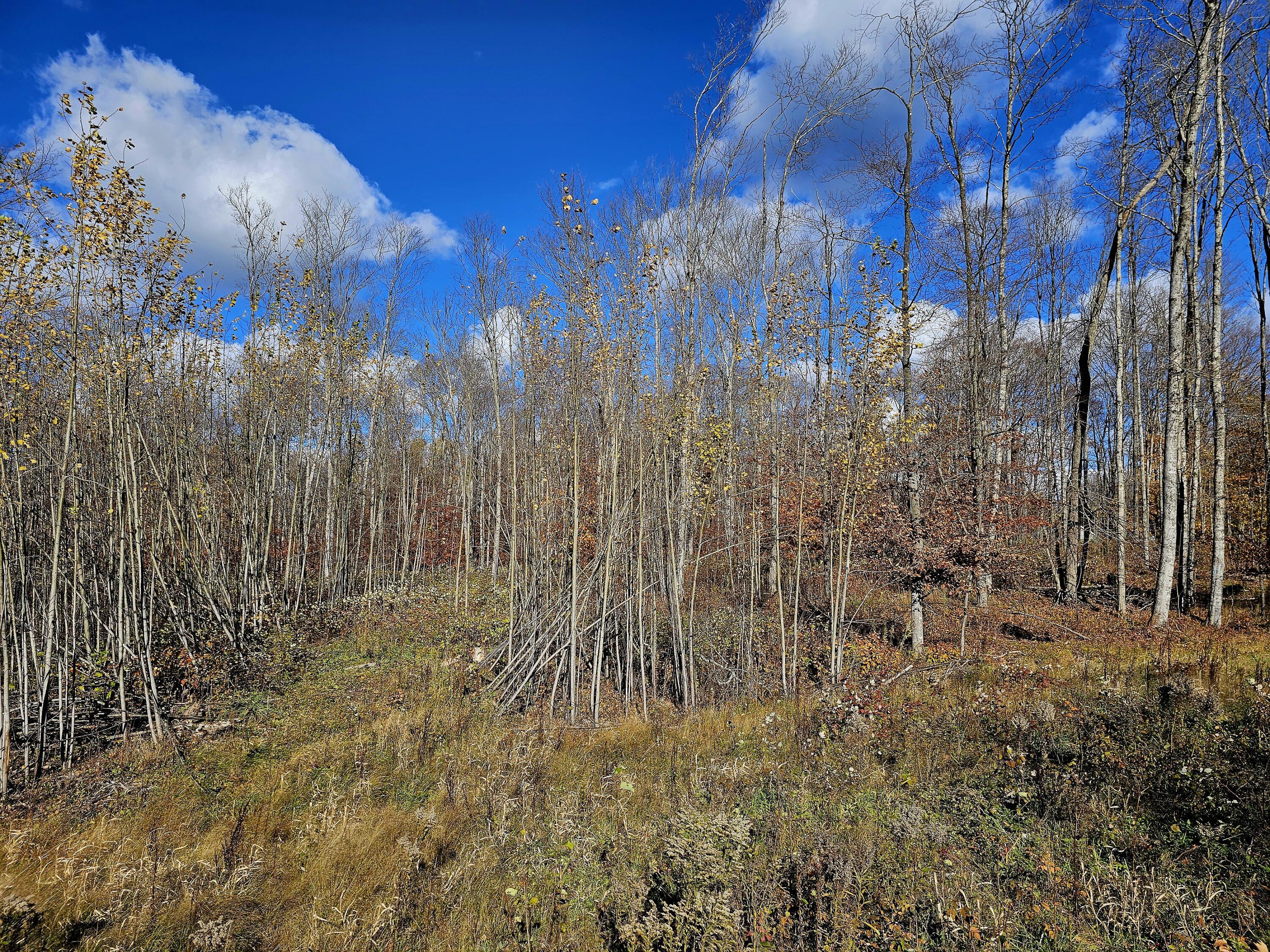 Image 1: 20251103_133817