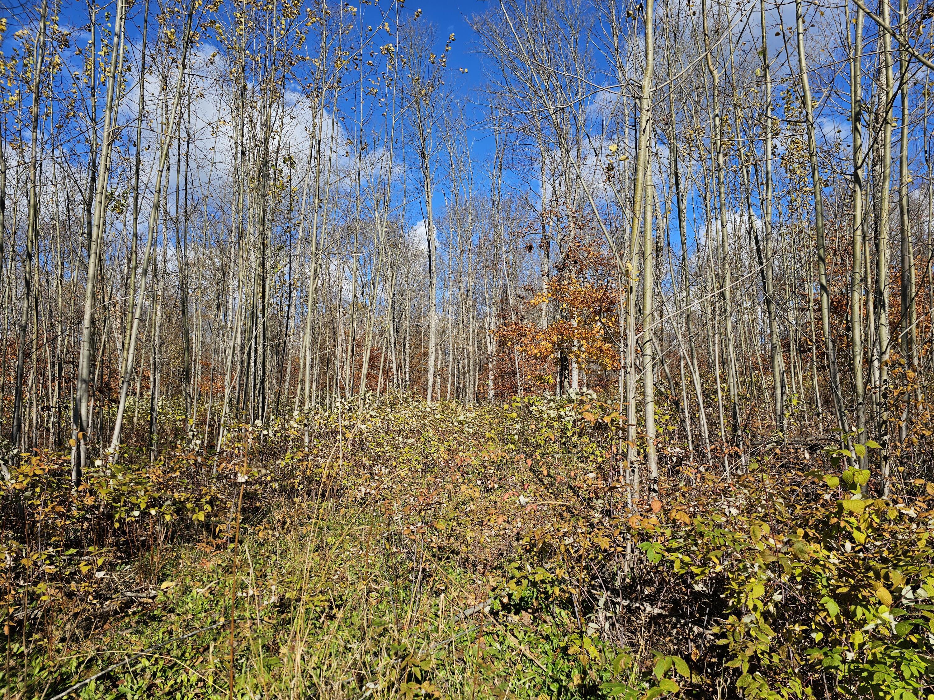 Image 2: 20251103_133834