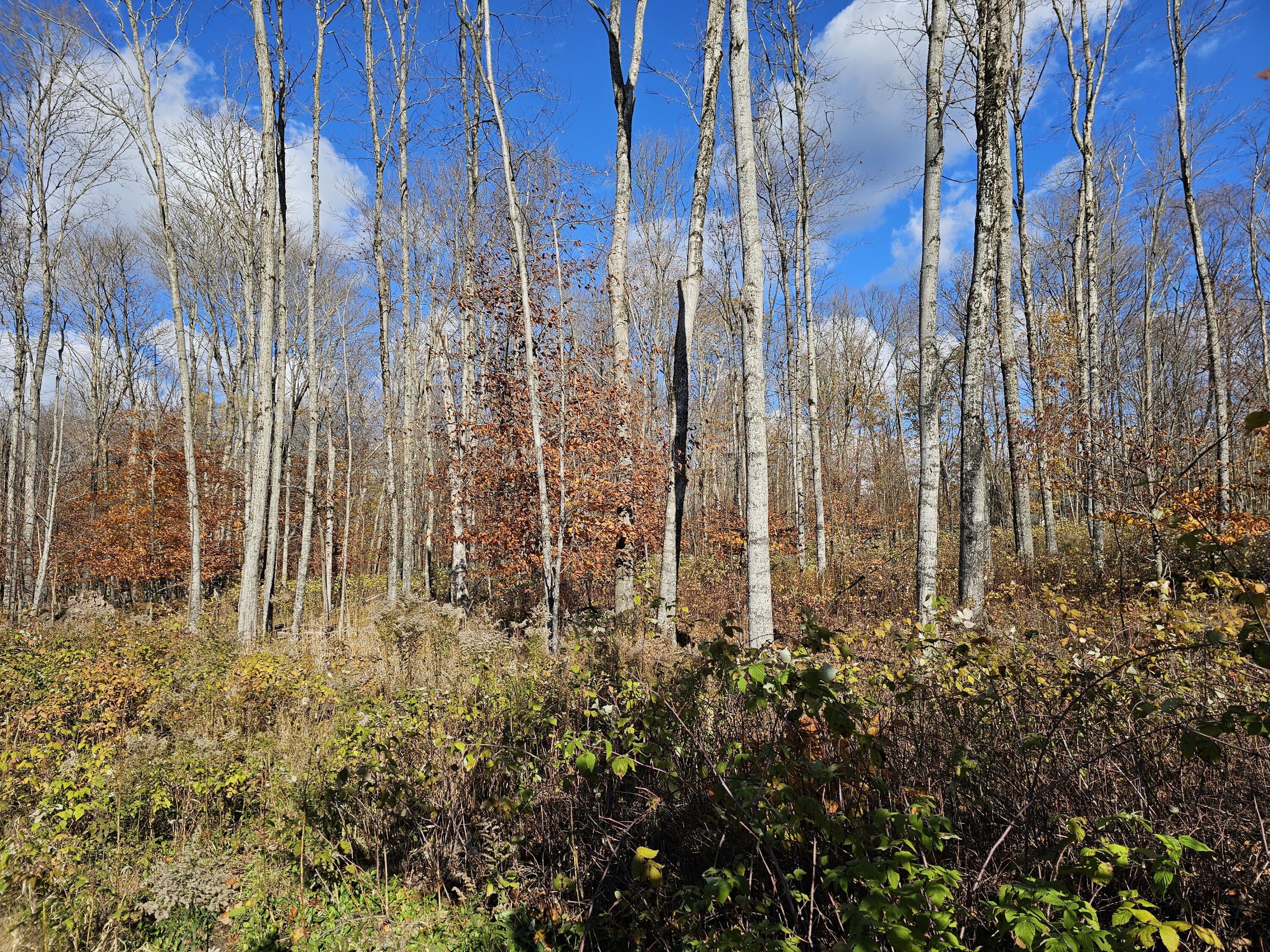 Image 3: 20251103_133856