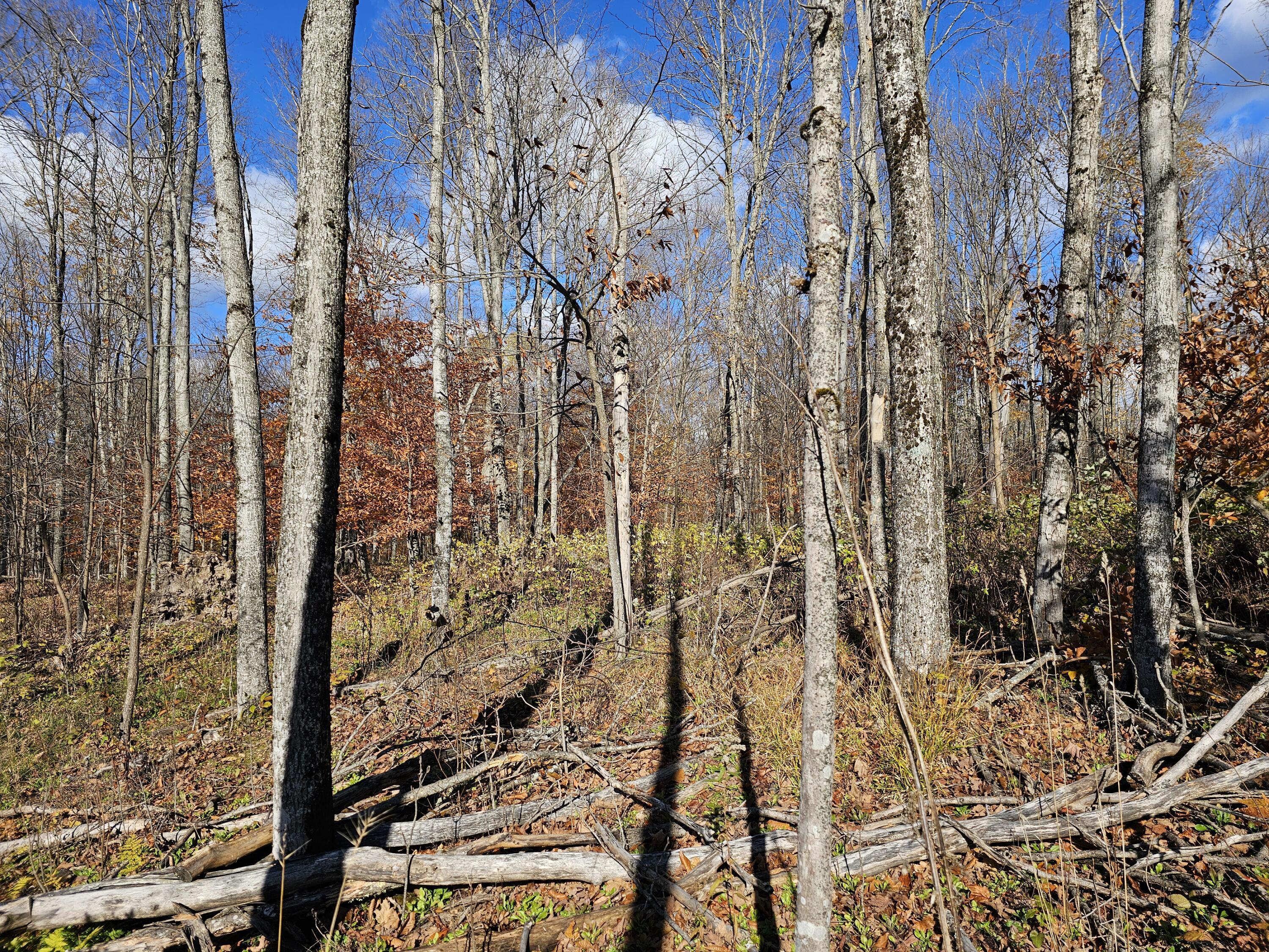 Image 4: 20251103_133926