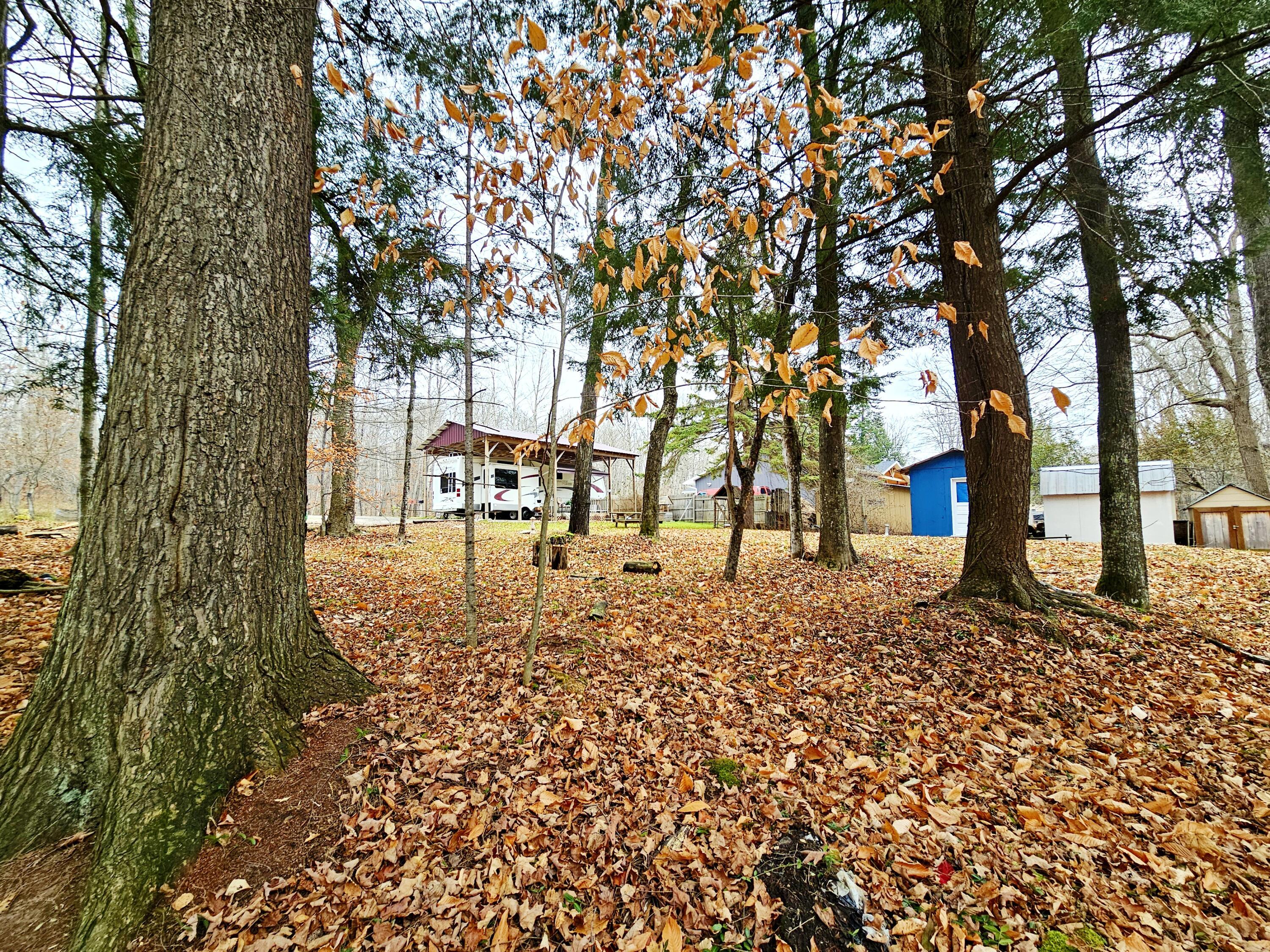 Image 1: 20251115_130413