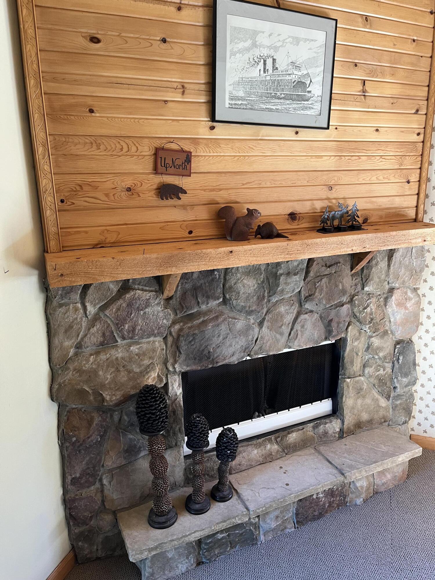 Image 4: Fire Place