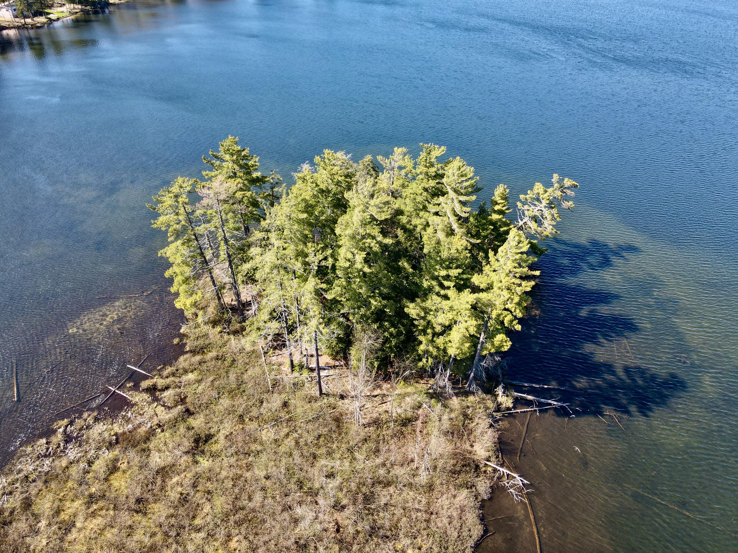 Image 2: DJI_0619