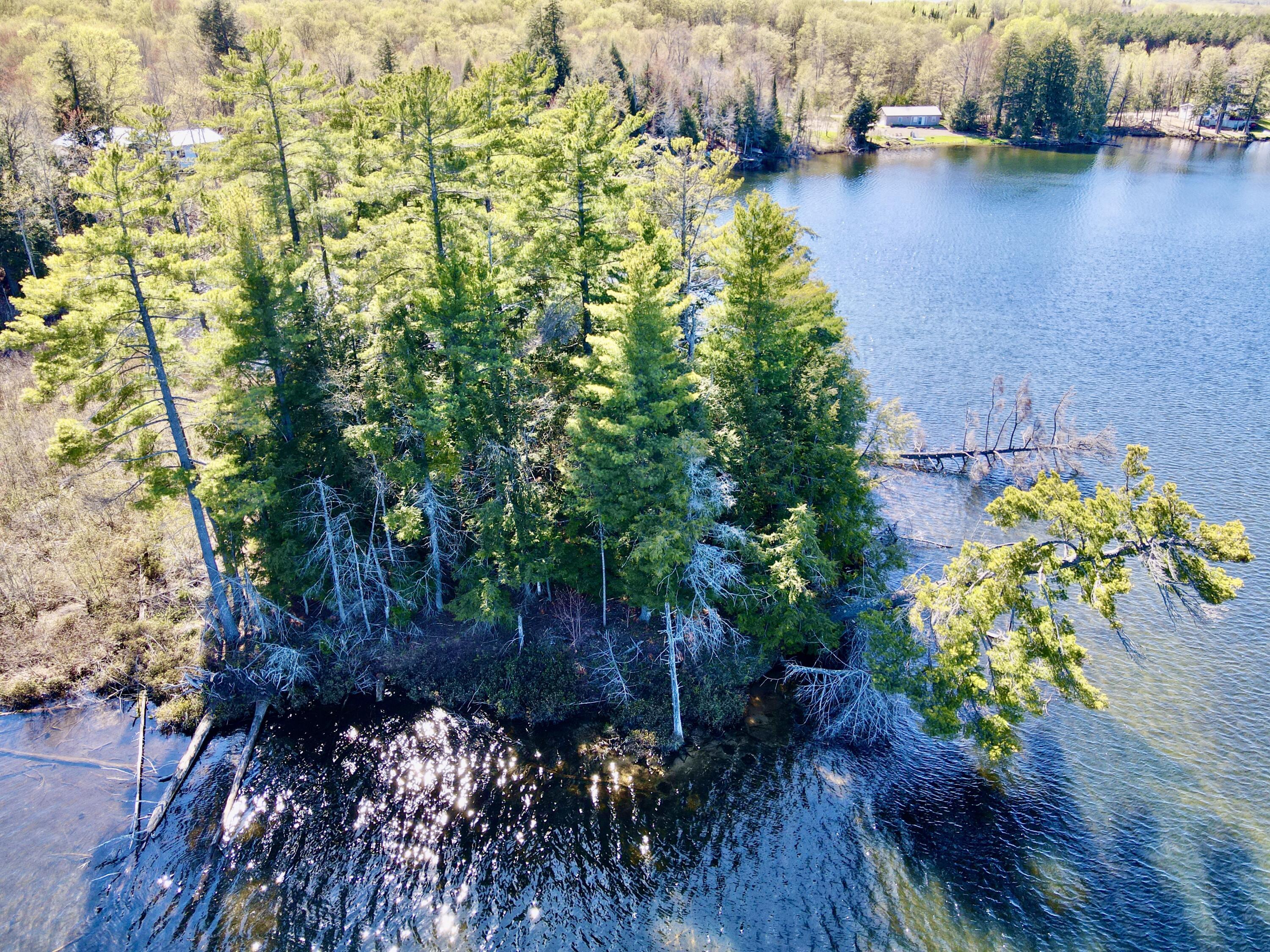 Image 3: DJI_0625