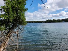 TBD S Forest LN