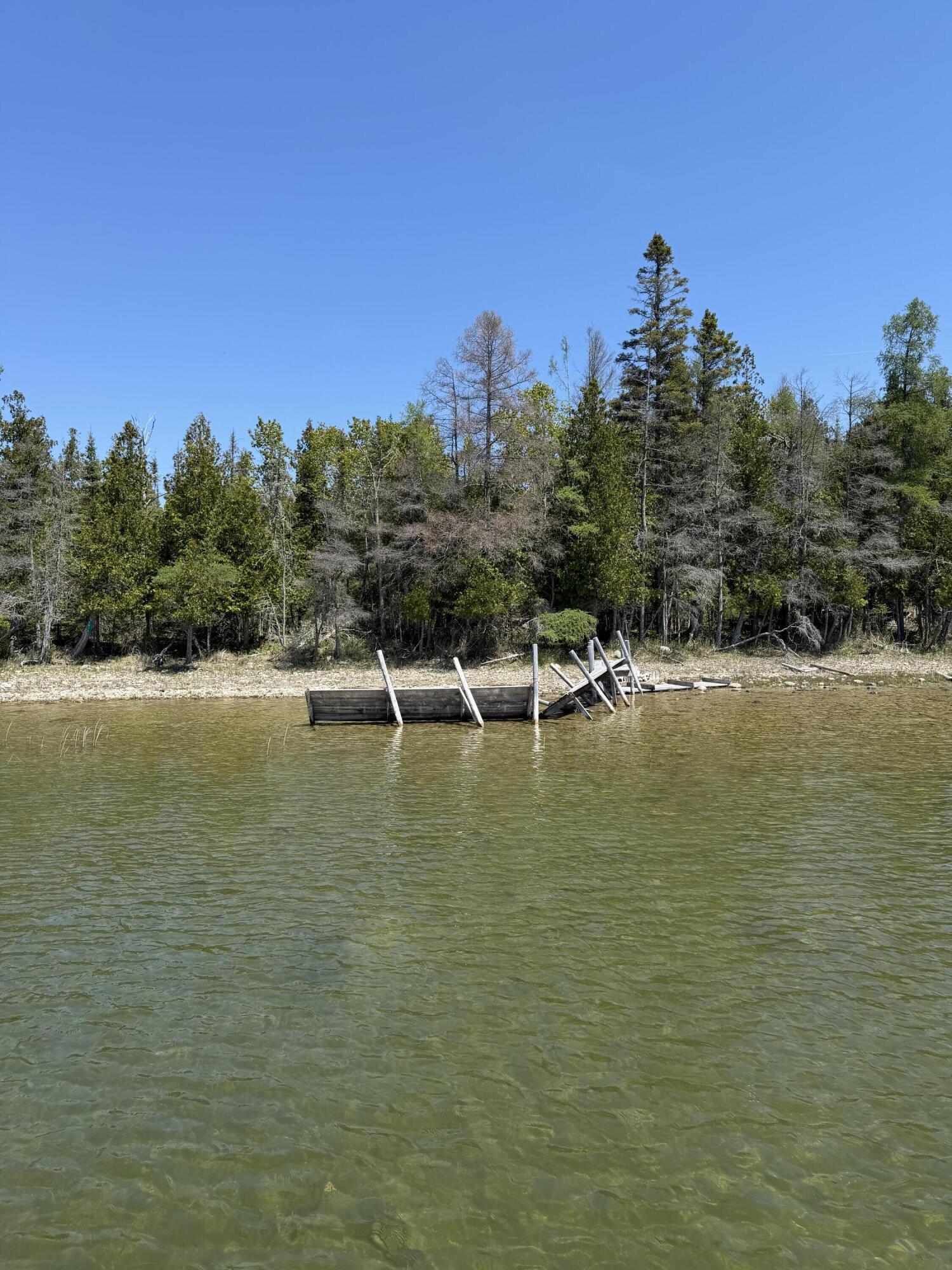Image 3: IMG_7409