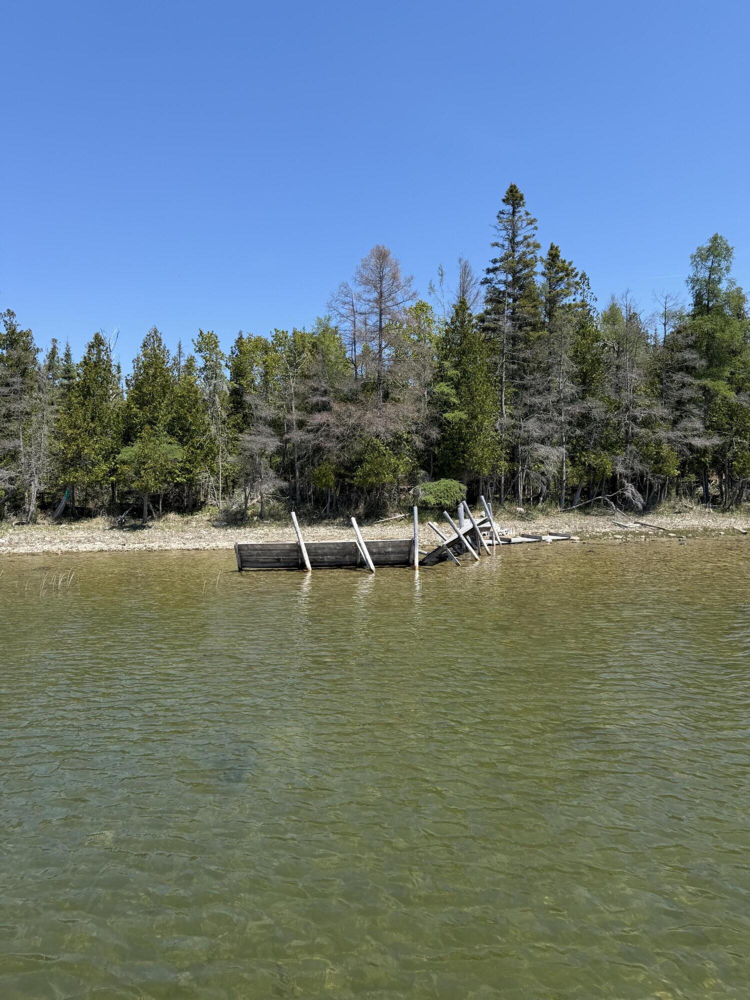 Image 4: IMG_7410