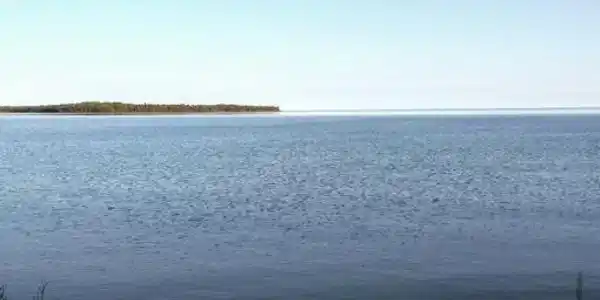 TBD E Bass Cove RD