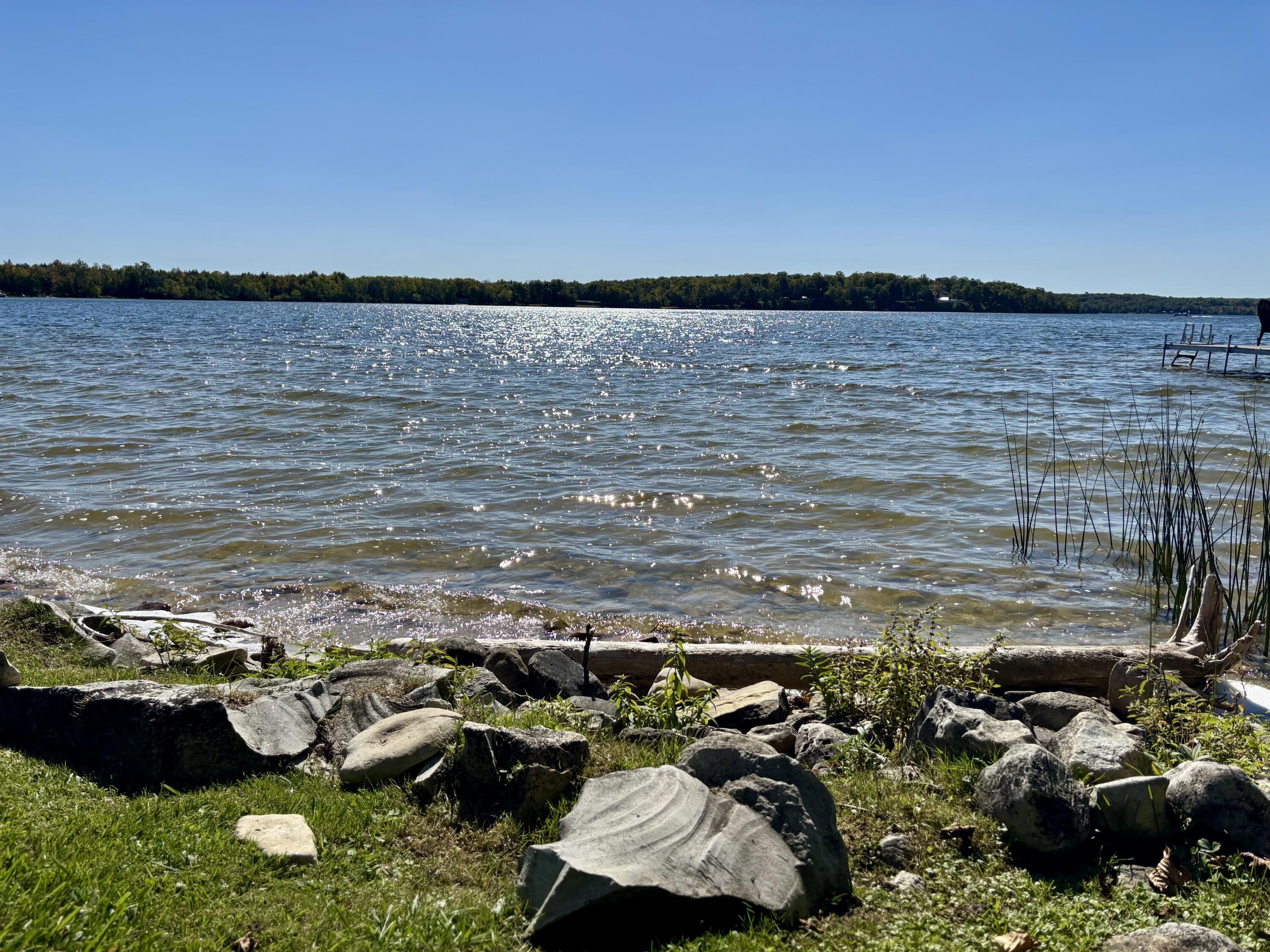 Image 2: IMG_3969