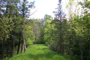 0000 S Curtis RD