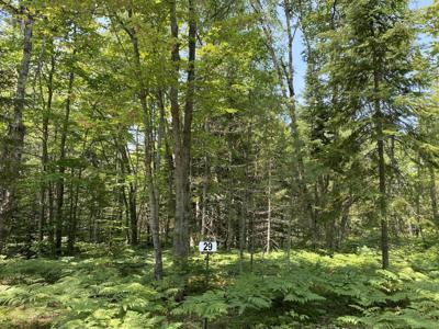 Lot 29 THIRD CREEK SUBDIVISION