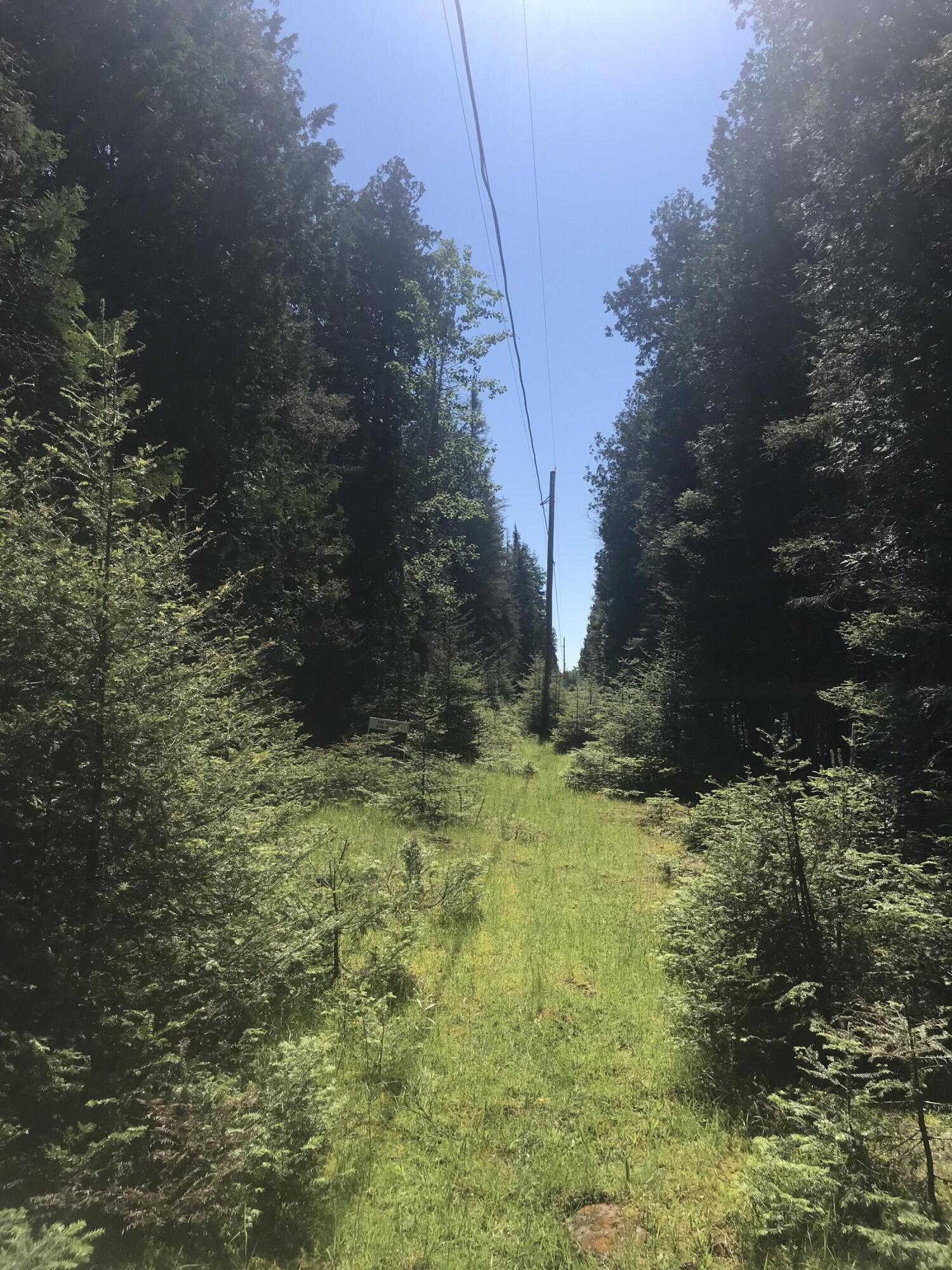 Image 3: image_67221505